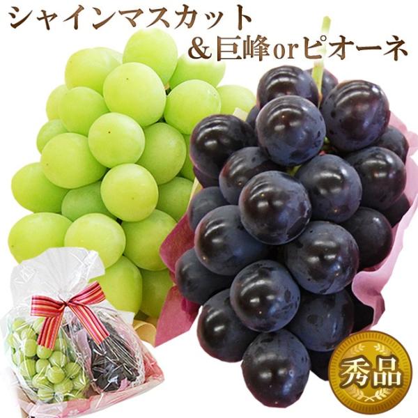 ＜8月中旬〜9月上旬のご発送＞2色 ぶどう セット ( シャインマスカット ＆ 巨峰またはピオーネ ...