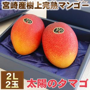 【 優良配送 】最高峰 宮崎マンゴー【 太陽のタマゴ 】 秀品 2Lサイズ 2個セット ( 化粧箱 ) お祝 お礼 誕生日 内祝 プレゼント フルーツ｜1999-shomeido