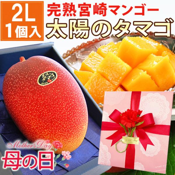 【 ご予約受付中 】 母の日 宮崎産完熟マンゴー「太陽のタマゴ」秀品 大玉2Lサイズ 1個 メッセー...