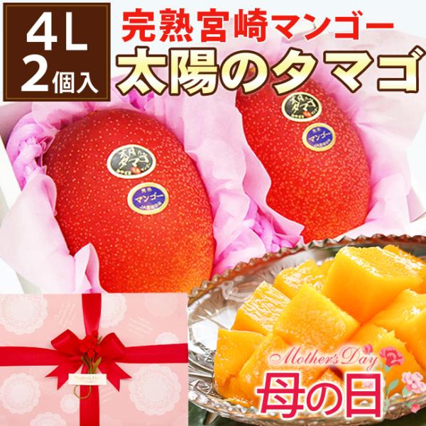 【 ご予約受付中 】 母の日 ラッピング 宮崎産完熟マンゴー「太陽のタマゴ」秀品 特大4Lサイズ 2...