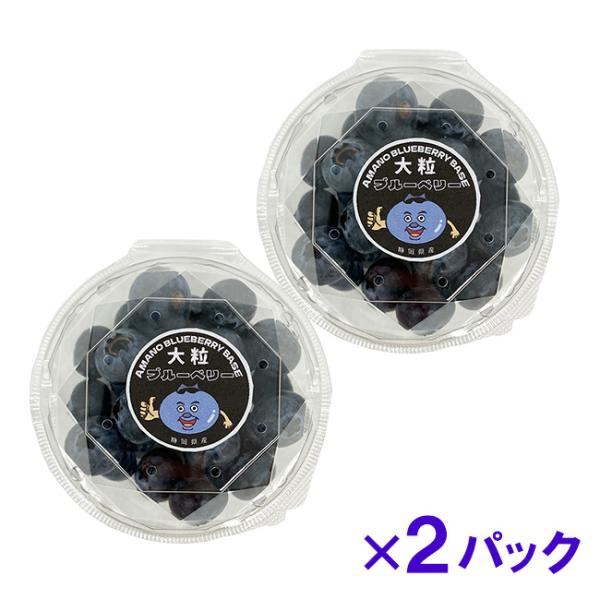 国産 大粒 ブルーベリー ユーリカ もしくは トワイライト 冷蔵 静岡県 浜松産  2パック