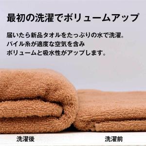 バスタオル 送料無料 120×60cm 綿10...の詳細画像5