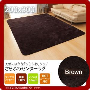 ブラウン (brown) 200×300 ラグ カーペット 4畳 無地 フィラメント糸 ホットカーペット対応の商品画像