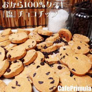 おからクッキー おから100％クッキー限定フレーバー　夏季限定『塩』チョコチップ味(300g)　大人気商品です　順次発送いたします