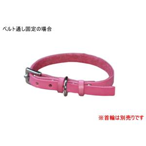 ベルト通し追加オプション※首輪のオプションとな...の詳細画像3