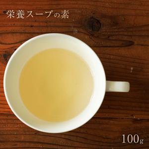 須崎恭彦 獣医師監修 栄養スープの素 １００g 無添加 ペットフード 犬猫兼用 Ns Sp107 わんダーランド 通販 Yahoo ショッピング