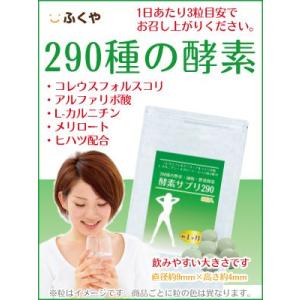 290種の酵素 540粒 約6ヶ月分 ダイエッ...の詳細画像1
