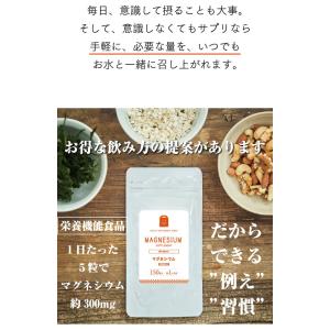 マグネシウム サプリメント 粒 1日300mg...の詳細画像5