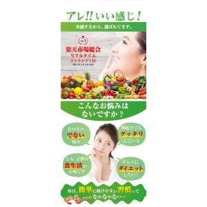 酵素ドリンク ダイエット サプリ ファスティン...の詳細画像3