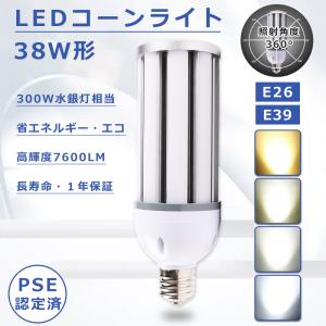 岩崎電気 岩崎 水銀灯用安定器（100V用、一般形、1灯用、高力率