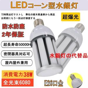 Panasonic パナソニック マルチハロゲン灯（水銀灯系） E39