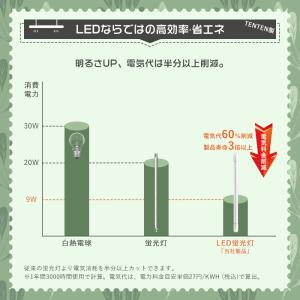 特売LED蛍光灯 20W形 直管58CMグロー...の詳細画像5