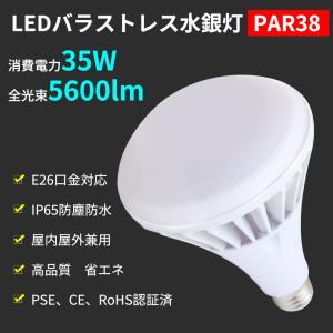 Panasonic パナソニック 冷陰極蛍光灯（蛍光ランプ） 3波長形昼白色