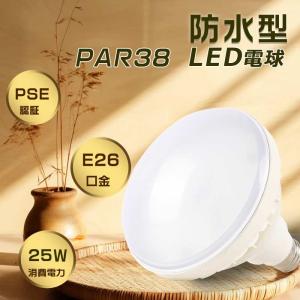 岩崎電気 (送料無料) ESP14004/S (ESP14004S) 屋外スポットライト