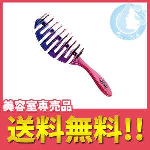 タカラビューティーメイト ウェットブラシ フレックスドライ（オンブレ） 送料無料 宅急便コンパクト YTC /nh