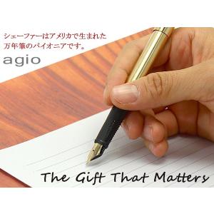 SHEAFFER（シェーファー） 万年筆 タルガ 1003 14金ペン先