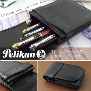 アウロラ（AURORA） ペンケース2本用 ブラック トリノ105 : 高級筆記具