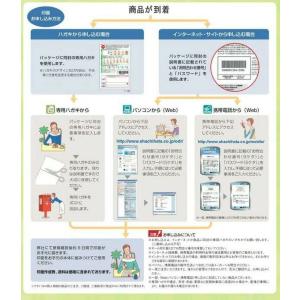 シャチハタ ネームペン キャップレスS ボール...の詳細画像4