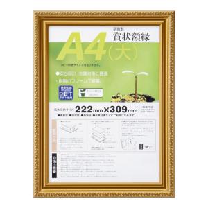 賞状額 金消-R A4 (大) 33J045B2500の商品画像