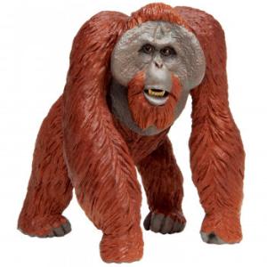 Safari サファリ社 アニマルフィギュア ワイルドライフワンダー