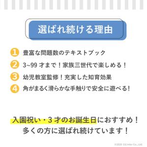 GENI ジェニ 賢人パズル 立体パズル 木製...の詳細画像3