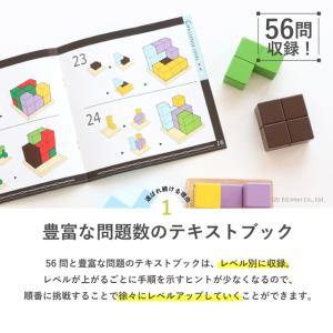 GENI ジェニ 賢人パズル 立体パズル 木製...の詳細画像4