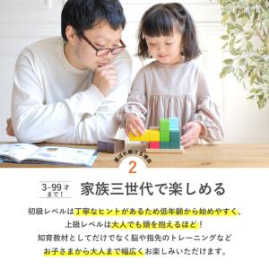 GENI ジェニ 賢人パズル 立体パズル 木製...の詳細画像5