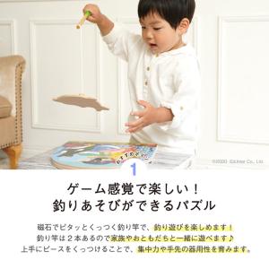 GENI ジェニ 2層フィッシングパズル 木製...の詳細画像3