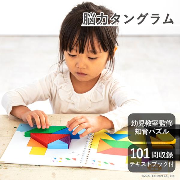脳力タングラム (のうりょくタングラム)  知育玩具 教育玩具 パズル玩具 木製玩具 知の贈り物シリ...