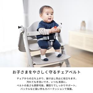 セーフティチェアベルト すくすくチェア用 抜け...の詳細画像2
