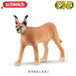 schleich アナコンダとワニ 動物フィギュア ワイルドライフ 2体セット