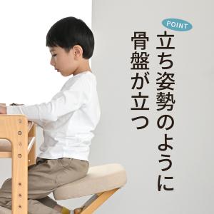 補助クッション付き プロポーションチェアキッズ...の詳細画像2