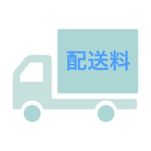 1100円送料[99987]の商品画像