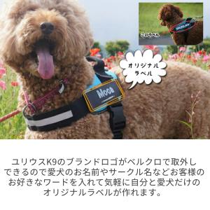 Julius-K9 IDCパワーハーネス オリ...の詳細画像1
