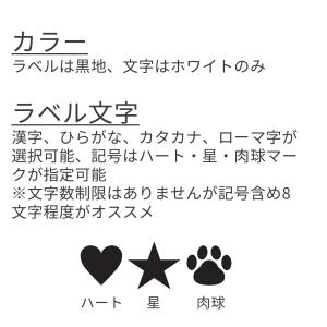 Julius-K9 IDCパワーハーネス オリ...の詳細画像2