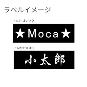 Julius-K9 IDCパワーハーネス オリ...の詳細画像4