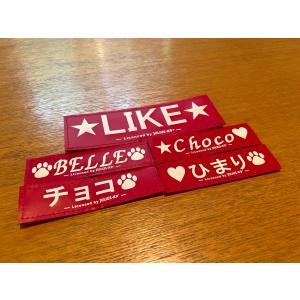 Julius-K9 IDCパワーハーネス オリ...の詳細画像5