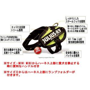 【ラベルプレゼント抽選実施中】【Julius ...の詳細画像1