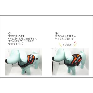 【ラベルプレゼント抽選実施中】【Julius ...の詳細画像5