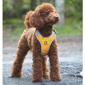 フィンランドのドッグブランド　Hurtta　フルッタ　ベンチャーハーネス　35〜60サイズ