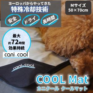 ノミ・ダニ予防 バランシーライフ ゴールド(キャタンドッグの大型犬