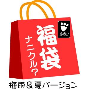 梅雨・夏バージョン　フルッタ福袋　夏袋　福袋　夏　ハーネス　ウェア　送料無料｜1stdogcafe