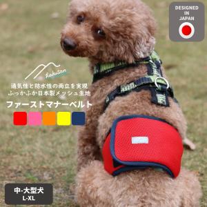 Curli ストレッチ コンフォート リード タン L 楽天市場】スイスの高級ドッグブランド【Curli】 カーリー ストレッチコンフォートドッグリード : １ｓｔＤｏｇＣａｆｅ