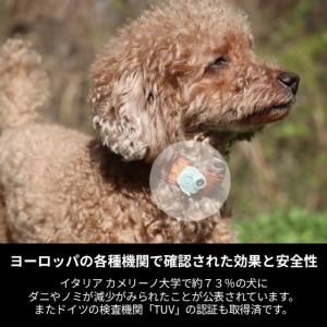 愛犬に優しい!!ダニやノミを寄せ付けなくする超...の詳細画像3