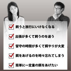 魚 自動 給餌器 給餌機 給餌 餌やり 餌やり...の詳細画像5