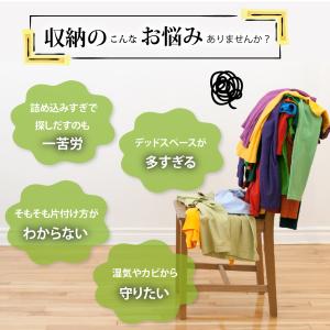 吊り下げ収納 吊り下げ ラック 棚 クローゼッ...の詳細画像2