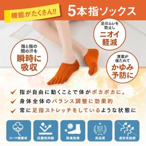 五本指靴下 五本指ソックス レディース メンズ...の詳細画像2