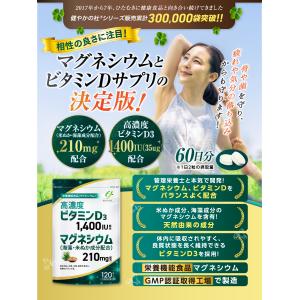 60日分 マグネシウム 210mg (海藻・米...の詳細画像3
