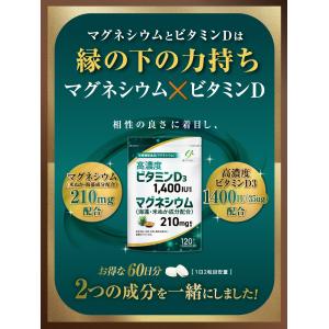 60日分 マグネシウム 210mg (海藻・米...の詳細画像5