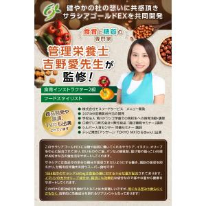 サラシアゴールドEX サラシア イヌリン オリ...の詳細画像5